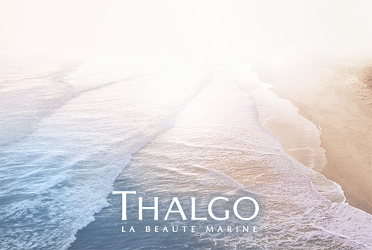 La mer et les algues, à l'origine de la vie...
